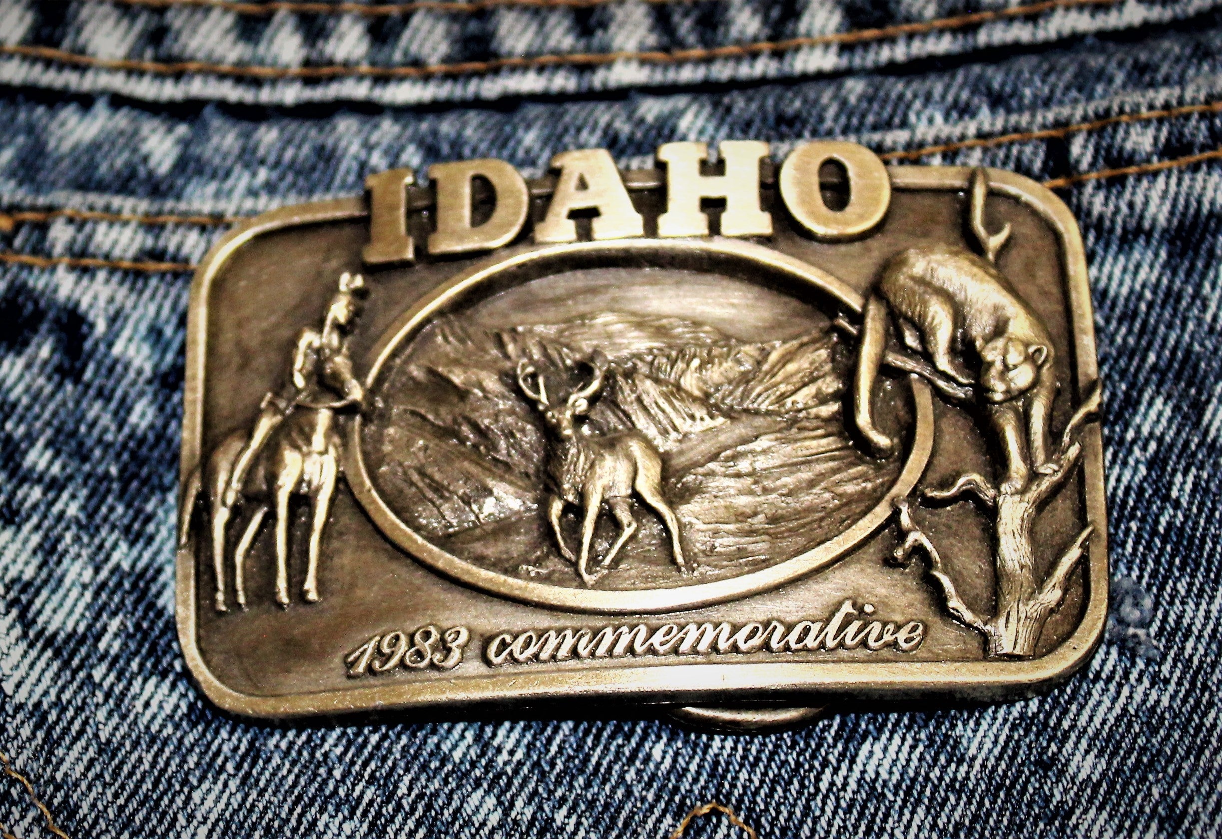 Idaho Commemorative